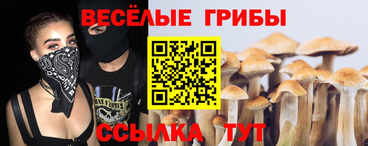 Псилоцибиновые грибы мухоморы Зеленодольск